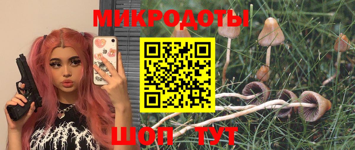 Псилоцибиновые грибы мухоморы  Псилоцибиновые грибы прущие грибы  Дзержинск  Вход с VPN 