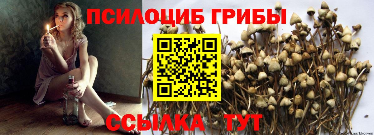 Псилоцибиновые грибы мицелий Дзержинск